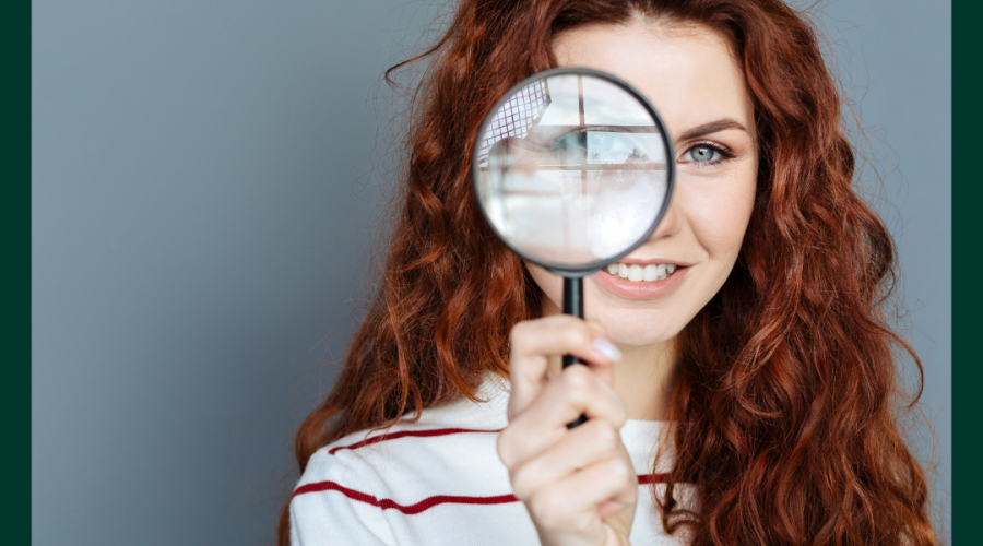 A custom search solution tailored to your business